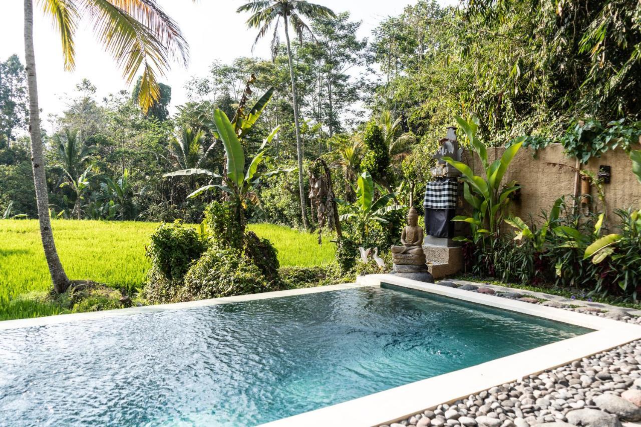 Bali Bamboo Jungle Huts And Hostel Tampaksiring Buitenkant foto