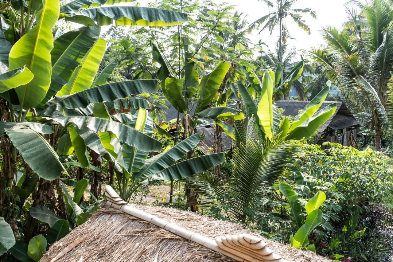 Bali Bamboo Jungle Huts And Hostel Tampaksiring Buitenkant foto