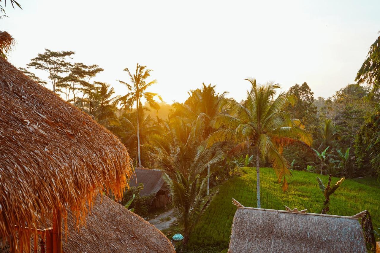 Bali Bamboo Jungle Huts And Hostel Tampaksiring Buitenkant foto