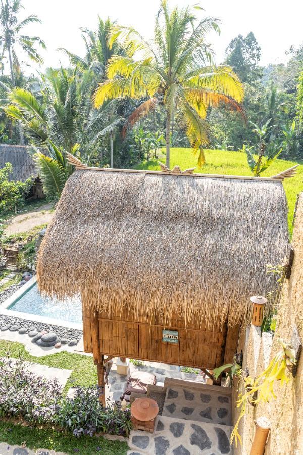 Bali Bamboo Jungle Huts And Hostel Tampaksiring Buitenkant foto